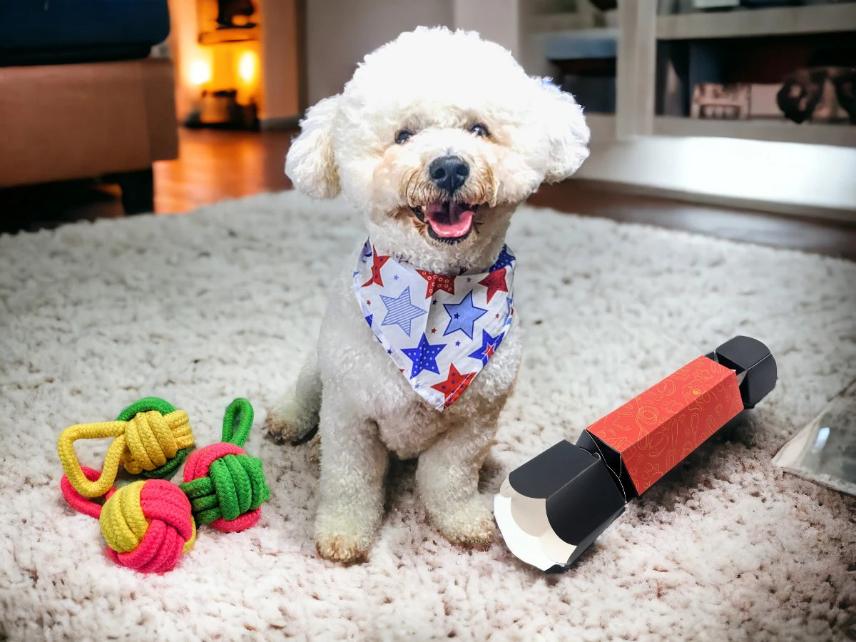 dog with christmas toys