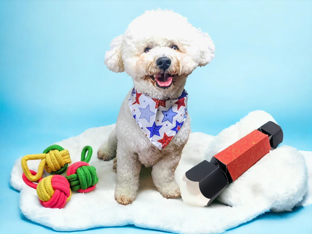 dog christmas gift