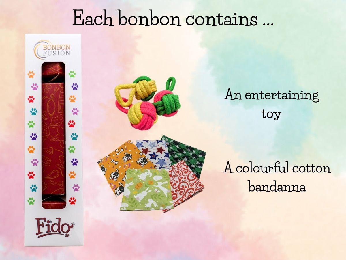 Infographic showing what each Bonbon Fusion Fido pet Christmas bonbon for dogs contains: an entertaining rope toy and a colourful cotton bandanna, shown in a range of patterns
